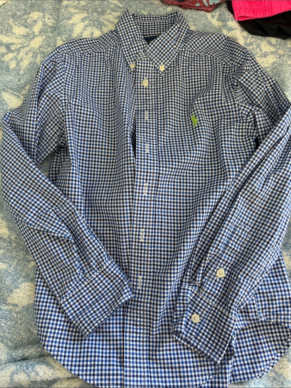 Polo by Ralph Lauren Blue and White Gingham Button-Down Shirt with Green Pony